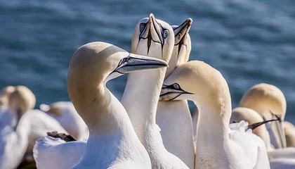 九游娱乐网页版-社交媒体热议：谁是本赛季最耀眼的车手？