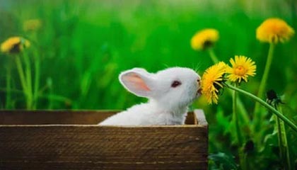 九游娱乐网页版-社交媒体热议：谁是本赛季最耀眼的车手？