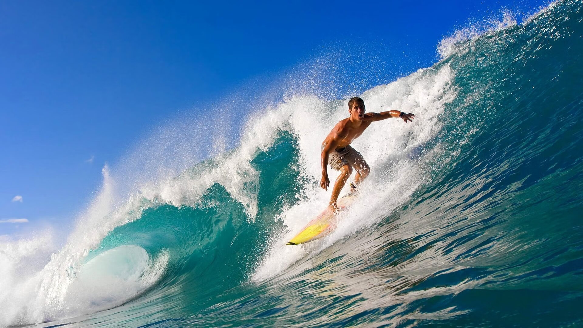 九游娱乐(jiuyou)官网-室内攀岩锦标赛，挑战极限攀登的精彩瞬间，室内攀岩视频比赛视频