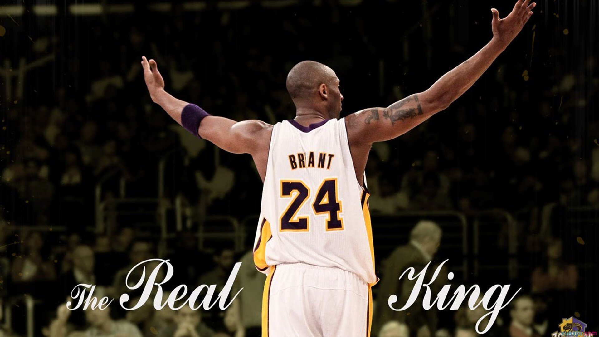 九游平台官网-明日方舟“策略大师”线下决赛即将举行，明日方舟策略性